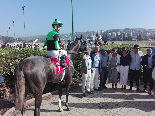 «YA PRIMO» DEL STUD LA PACITA SE QUEDÓ CON LA COPA JACKSON 2019