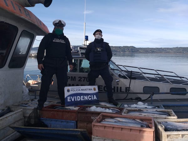 AUTORIDAD MARÍTIMA INCAUTA 2,5 TONELADAS DE SALMONES ROBADOS EN QUEMCHI