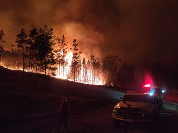 VALPARAÍSO: CONAF Y BOMBEROS LOGRAN CONTROLAR COMPLEJO INCENDIO FORESTAL EN LAGUNA VERDE