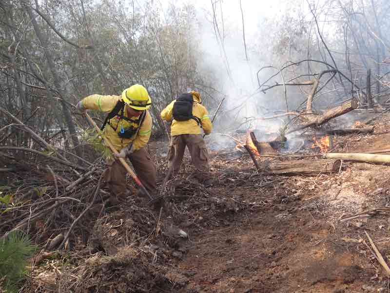 CONAF ABRIÓ UN NUEVO PROCESO DE POSTULACIÓN A SUS BRIGADAS DE COMBATE DE INCENDIOS FORESTALES