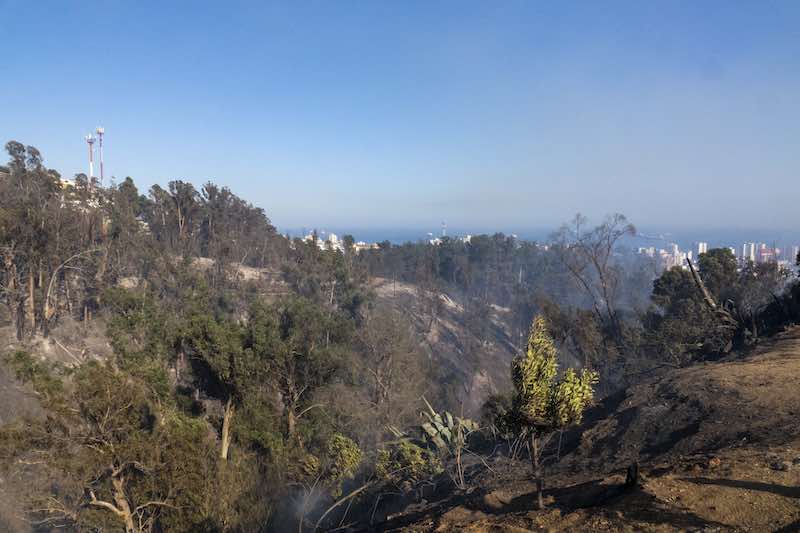 PRESIDENTE BORIC COMPROMETIÓ RECURSOS PARA SUPERAR INCENDIO EN VIÑA DEL MAR Y APOYAR A FAMILIAS DAMNIFICADAS